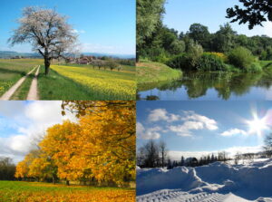 four seasons